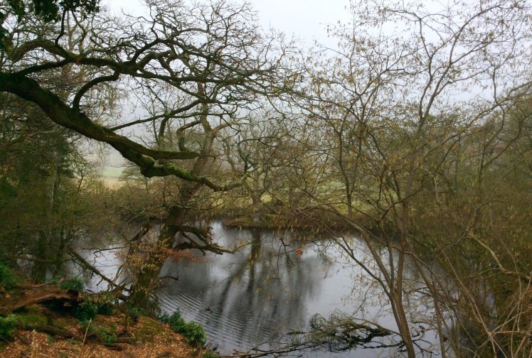 e880d3ed-653e-4532-ac07-fe862f4c8202