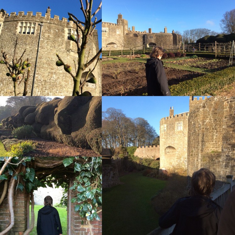 220894F7-A780-45A7-8ACD-898BDDF1542A