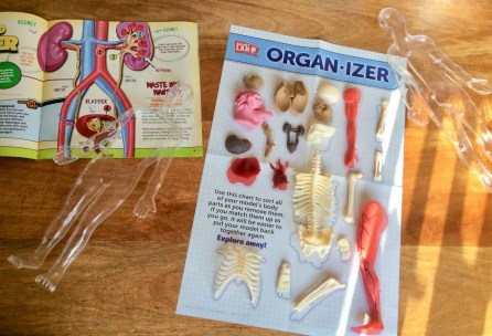 75373989-E036-4F63-B9AA-AE629601447E