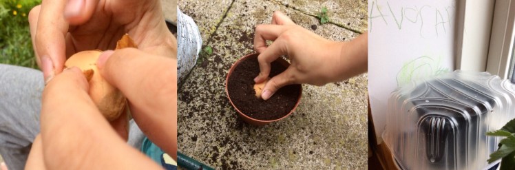 2121a089-7cce-479f-a429-8ef63de08328