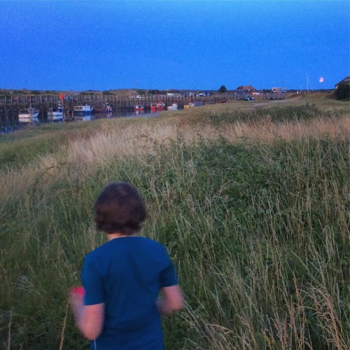 e5fcff8b-79a2-416d-84f6-65e3a5334d0b