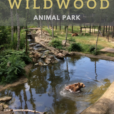 Days Out in the South East: Wildwood Trust Animal Park #daysoutwithkids #exploretolearn #wildlife #Britain #homeschooling #animalparks
