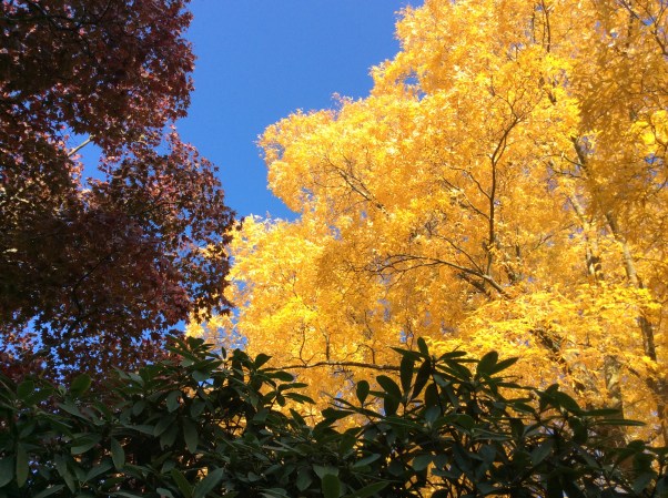 1194E1AF-1AC2-450C-873D-3EB1ABA9CCF3