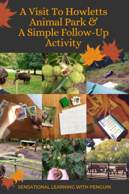 A Visit To Howletts Animal Park & A Simple Follow-Up Activity! #DaysOut #ExploringNature #LearningActivities #AAC #Homeschooling #SpecialNeeds sensationallearningwithpenguin.com