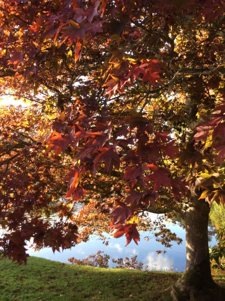 19314502-D994-4429-A893-E66B2FB4EBE1