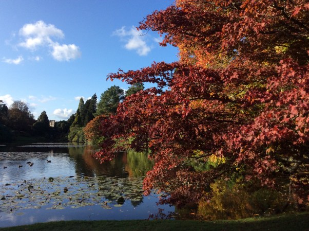 24B2BB01-829A-472B-9218-08778DCC86FF