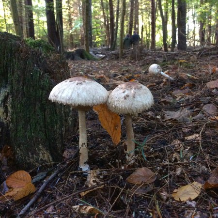 2D2FD605-191D-4C74-A8D0-9FB1A3AAA095