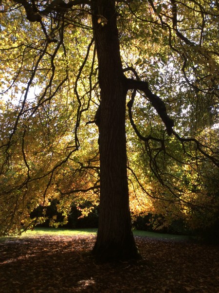 2EFDE1C2-AC3D-4C17-86CB-C12A39FEB667