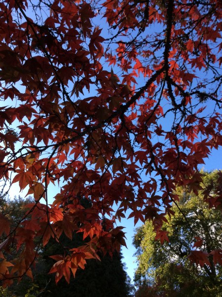 33868669-03EB-444F-B5FE-85712F40539F