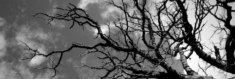 39DDBC69-F9B6-481C-9B62-298ED9877B1D