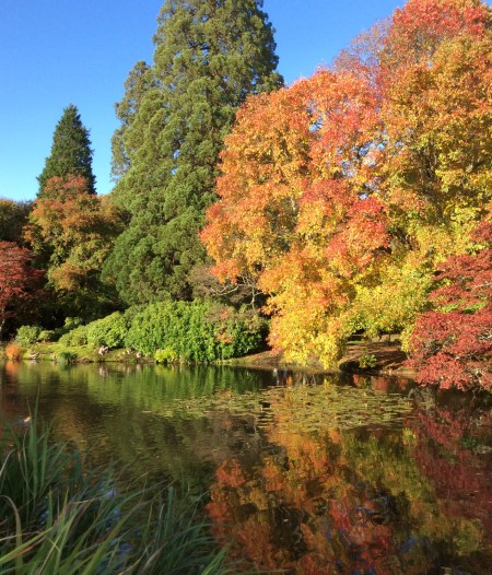 3C9D7805-A864-48E7-94A5-F48185EA0ECA