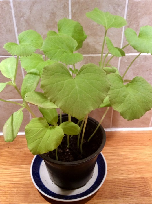 48BDB6EF-6C09-4C10-A887-A8D646C0AEAE