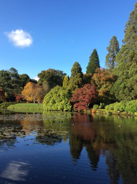 52A85DCD-8073-4195-B68D-F4839923D956