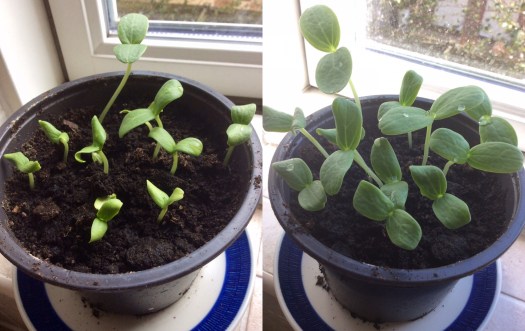 5B104B3C-A727-4DD4-8D2F-F446EBDAB7FD