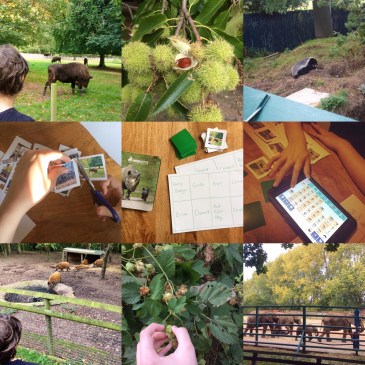 A Visit To Howletts Animal Park & A Simple Follow-Up Activity