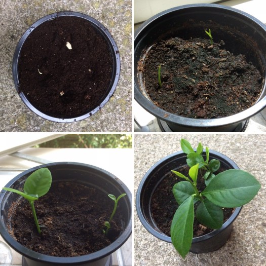 608DF412-4336-4701-9032-EAC057DC1E8E