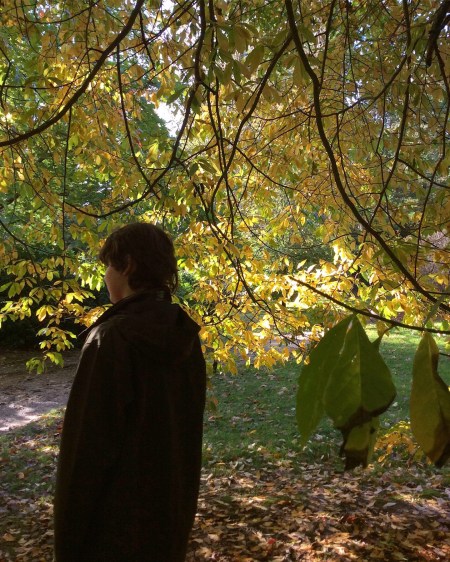 66C22711-3C67-49ED-9766-02E0B1F5639A