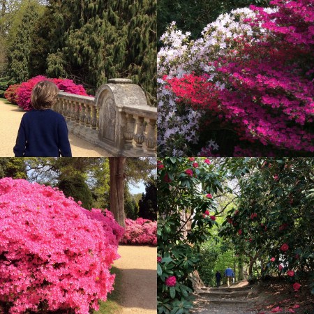 68BE2E01-075C-4C02-8DD7-9F359FB08B7A