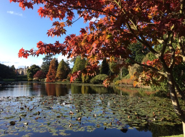 8854E121-EBA9-4CC7-87E7-64163A48F9AF