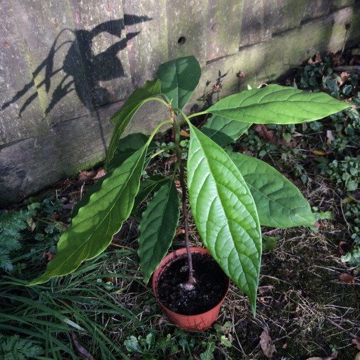 89AA8E1E-36E4-4905-99E2-A6A145E9AF53