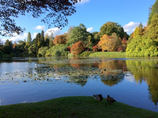 8D35A18C-A3E7-48FD-9C54-EABD3512FA59