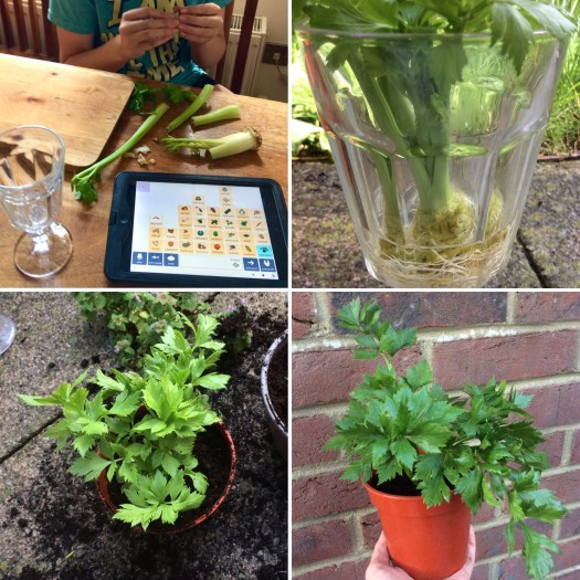 90266B49-91BD-4416-A432-1F0B24637C54