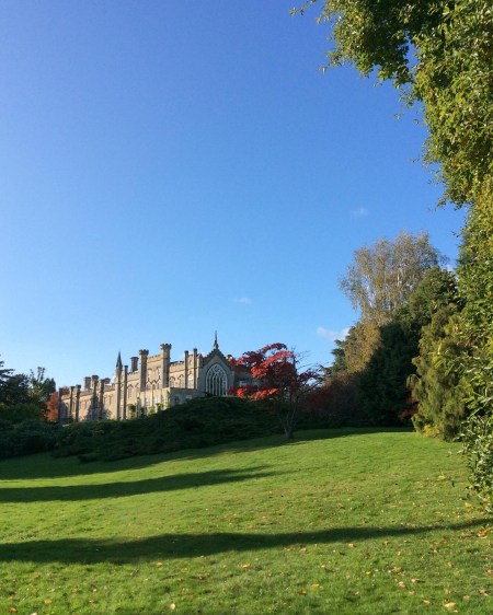 90AB1E7A-A3EB-4AC8-85CE-1BE01677E124