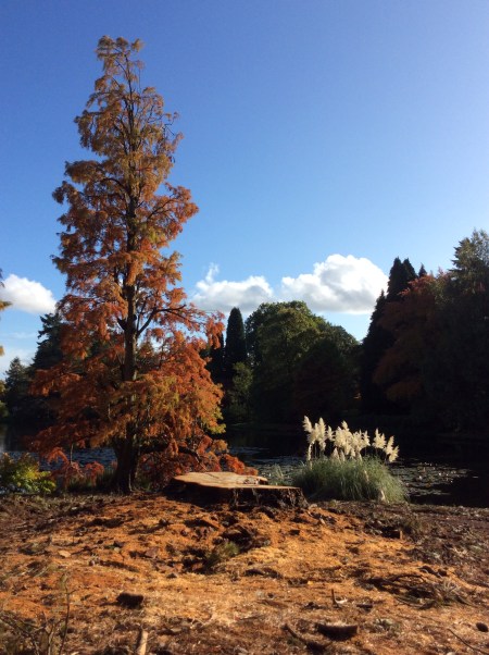 9D8B460B-7BBF-427F-A46D-7D8E97B04CF0