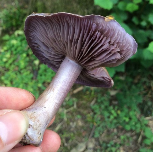 A6EE4ADF-7C84-41EC-AD0A-489919EF8A31