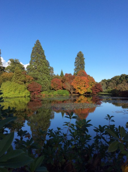 B1A4B5C8-AB6A-4106-A44A-DAD99C89CF8E