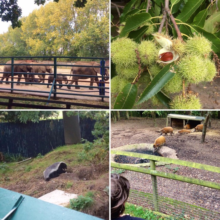 B371AF8C-7847-45AC-9A3B-42784A8CA66C