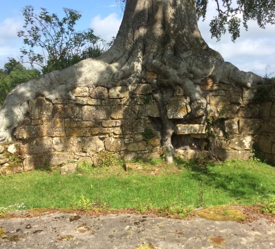 BD1F6227-38A6-48D1-ABAF-47FDBDB6CE70