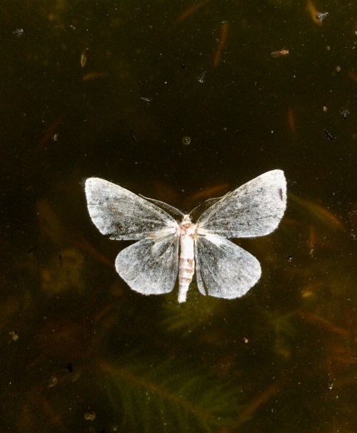 BDFC8D92-876E-4336-A3D6-97A0F197178E