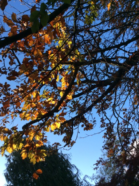 CA630169-0905-4015-9197-0E2A217F4A5B