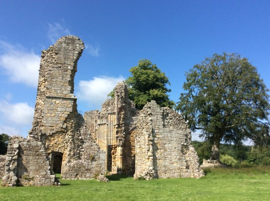 CC8548A1-F64E-4868-942D-0FFEA4ABCA16