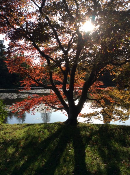 D11C2B81-FE89-45B4-995D-C7353F08A17F