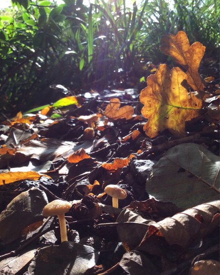 DABE105E-4020-47B5-BE81-3FCD9F5B902E