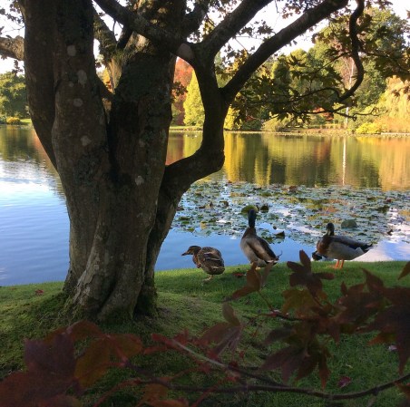 E77E727D-A609-4B4D-9880-765C26997407