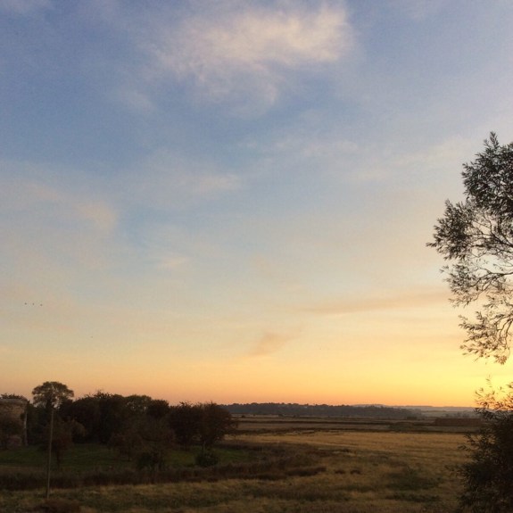 EAA09BE3-33B4-4041-A139-4B8A8A2DFE4E