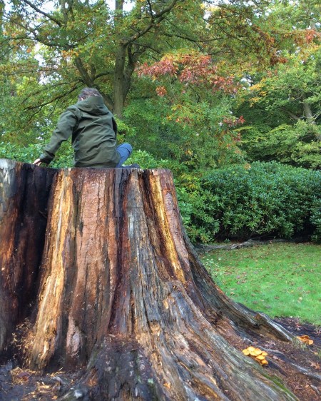 EE2E6246-D957-4907-BD11-155F755BC6CA