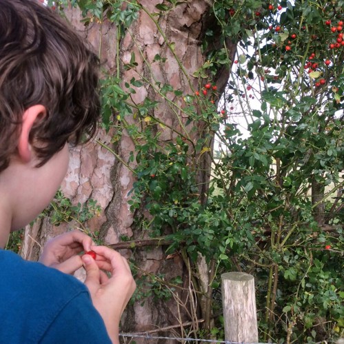 F9164025-D29A-4A5C-A3D0-E1E6FDE2DD4D