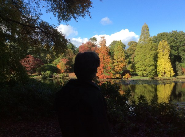 F967642E-E4FC-4613-AA62-F2A7EE9BBE76