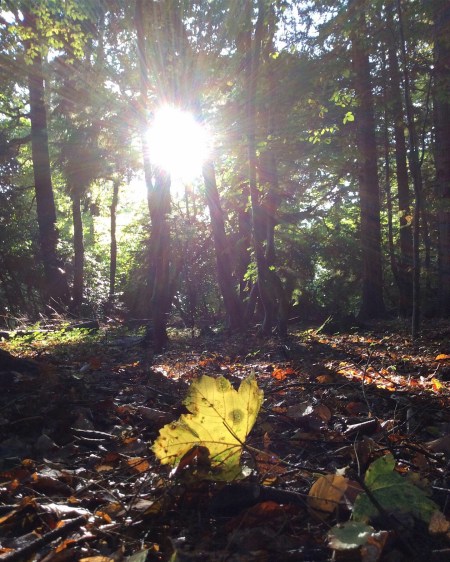 F96EBDBD-AD79-46AA-AAB8-D6A8E9EF69A0