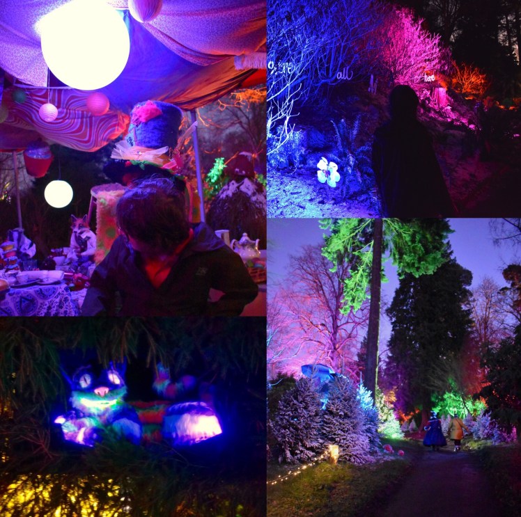 0B8F4E3D-46BD-40D0-B777-D65AFB54D5DE