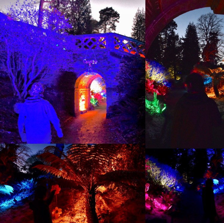 A0D22650-263F-49E7-8C2D-E9B25B0E330B