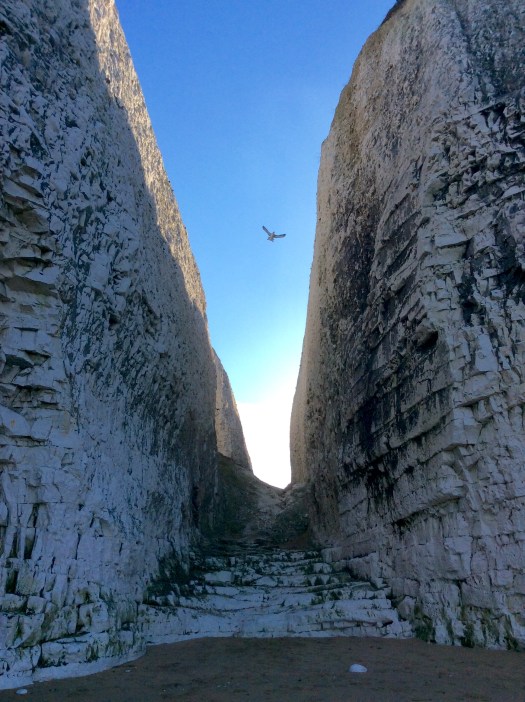 65536026-59EF-416B-830B-B3A7F61BF3DD