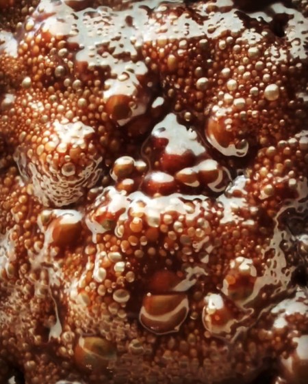 ED29C09E-AE4B-467F-9F38-C73E50D01AE8