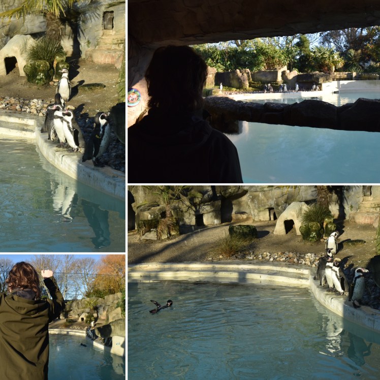 1EFD3110-C8CF-47E1-A953-5CF8CA17FFE5