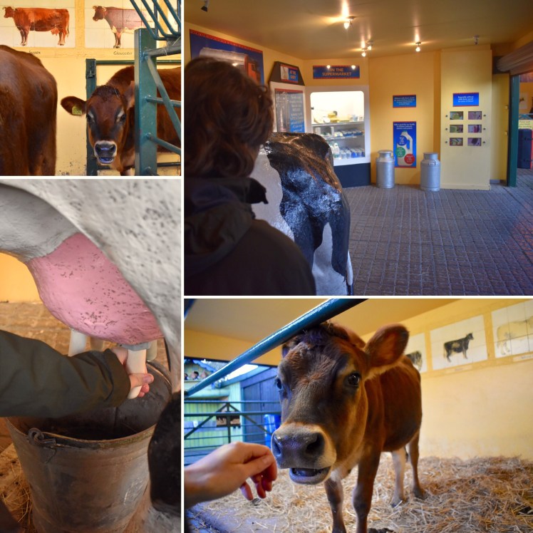 2D44B4F2-6119-4687-85BD-12164FDCED6B