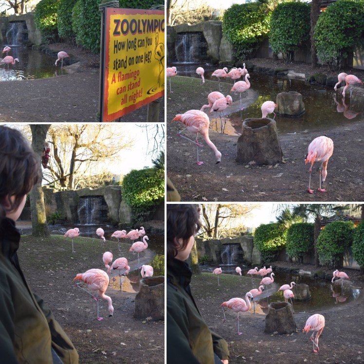 61A0DD2E-AE4C-4122-AB89-EF3F9122A235